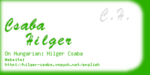 csaba hilger business card